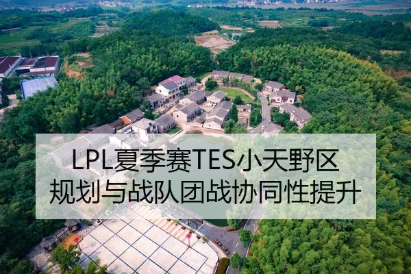 LPL夏季赛TES小天野区规划与战队团战协同性提升