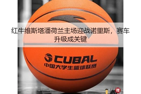 红牛维斯塔潘荷兰主场迎战诺里斯，赛车升级成关键